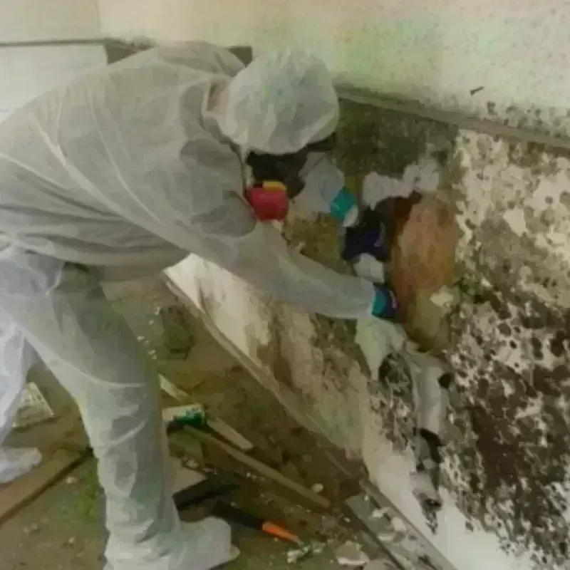 Mold Remediation and Removal in Weare, NH